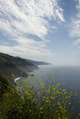 Big Sur Coastline_585a