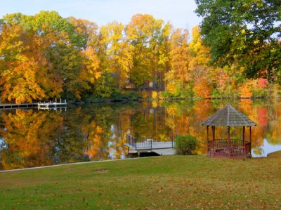 Back Yard Colors