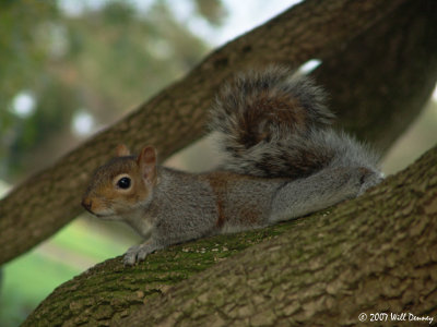 Bury St. Edmunds