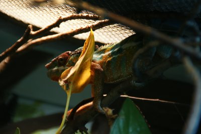 DSC06382.JPG