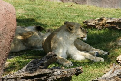 DSC06442.JPG
