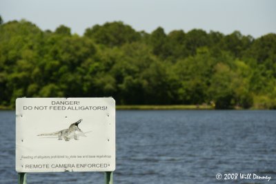 No Feeding the Gators!