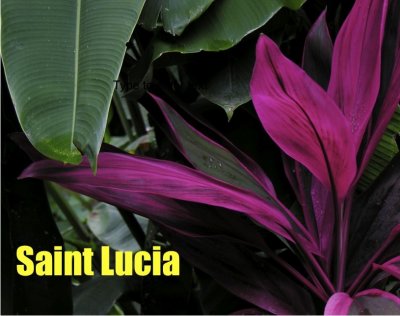 st_lucia_2006