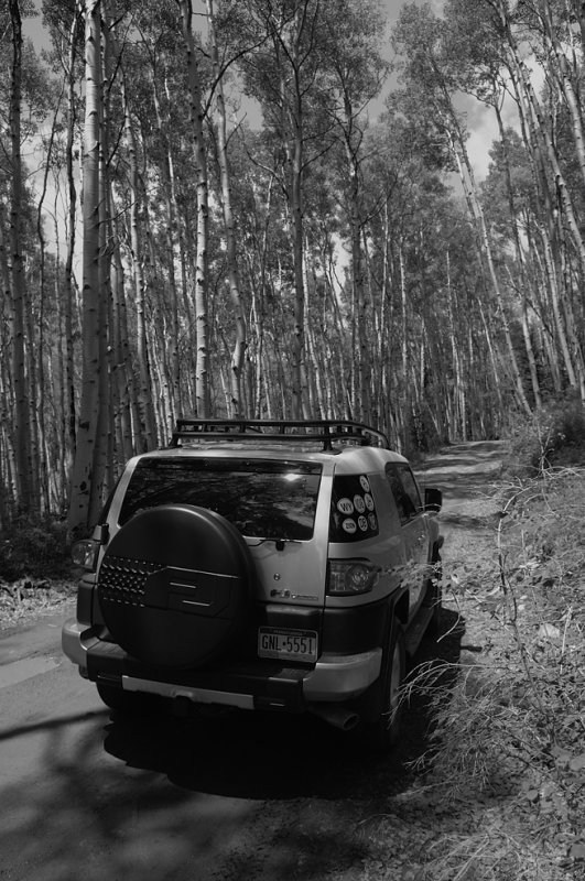 LOST DOLLAR RD.jpg
