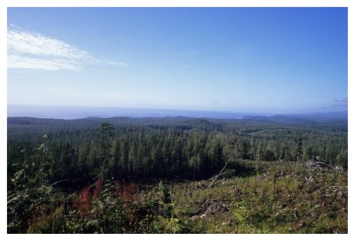 Carmanah Provinical Park Vancouver Island New