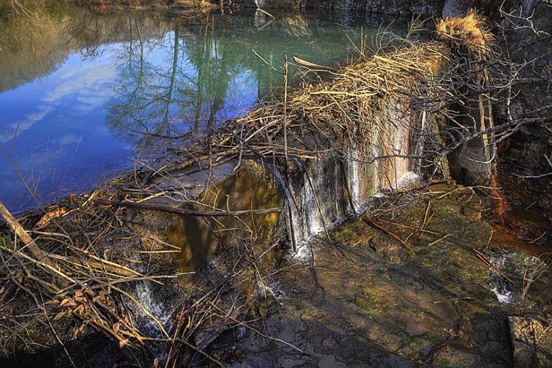 Old Mill Dam on Adds Creek