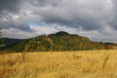 g3/19/740719/3/87622143.eWanpVIk.jpg
