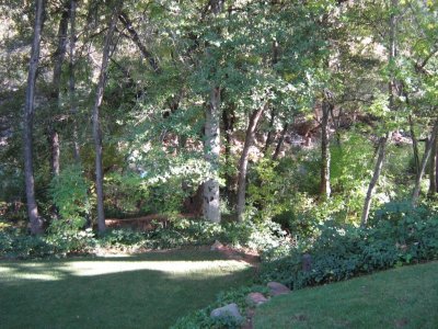 Another view from the cabin's porch (They hold weddings down there.)