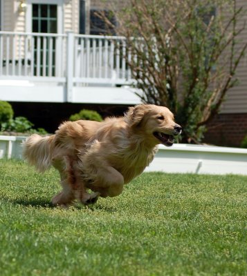 Full Speed