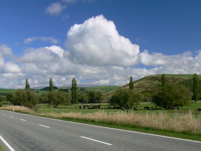 018_NZ So Island Countryside.jpg