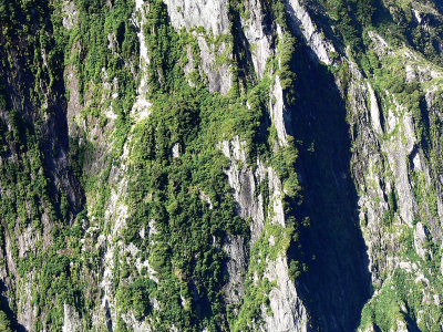 070_Milford Sound Cliffs.jpg