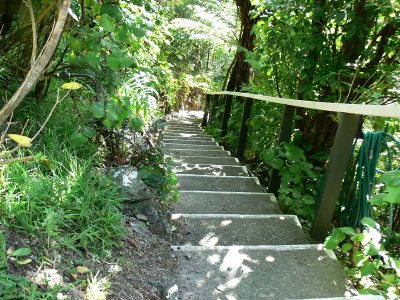 141_Eastbourne stairs to house.JPG