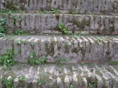 ColosseumSteps.JPG