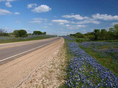 P4108300 - Texas Spring.jpg