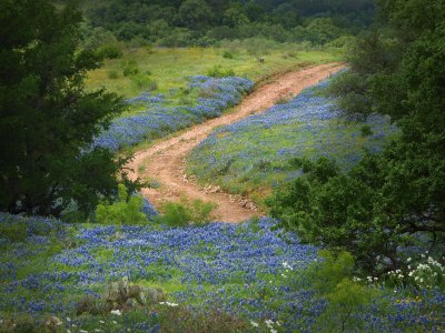 P4213227 - Hill Country Tapestry.jpg