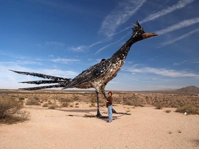 Junk Road Runner.jpg