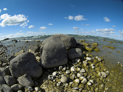 Lake Michigan Shoreline.jpg