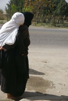 b8.jpg
