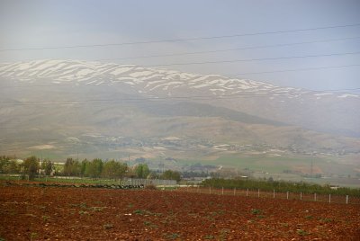 b33.jpg