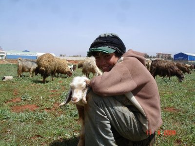 bekaa2.jpg