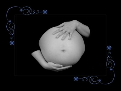 Maternity Portfolio