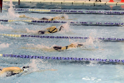 GV10_063.jpg