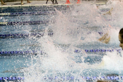 GV10_091.jpg