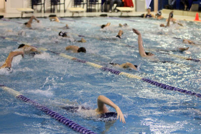 PVI10_010.jpg
