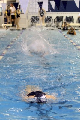 PVI10_032.jpg