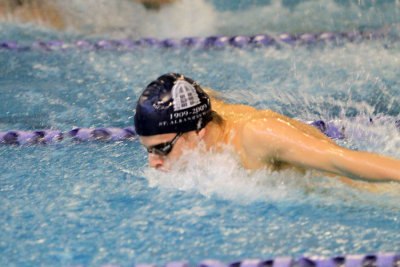 PVI10_063.jpg