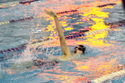 PVI10_065.jpg