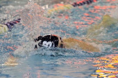 PVI10_080.jpg