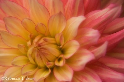 Opening Up