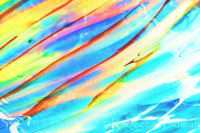 Rainbow of Colors