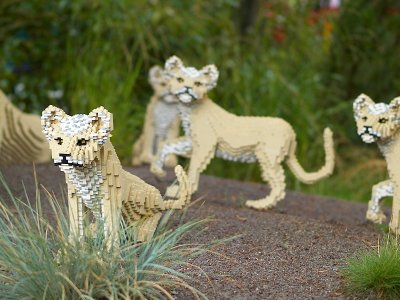 Legoland - Lion cubs