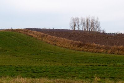 2009-12-02 Field