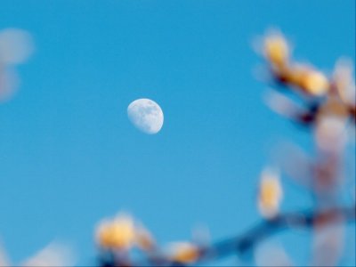 2010-04-24 Moon in daylight