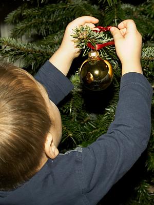 Oliver decorates Christmas tree