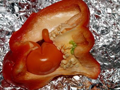 Red pepper with child