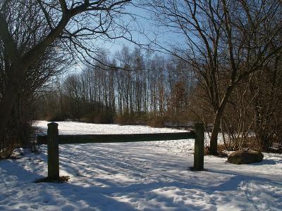 Fence in snow