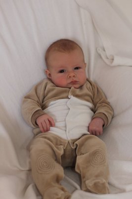 g3/20/12420/3/120282197.c7fS3Ezs.jpg