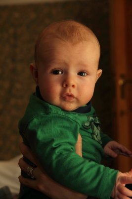 g3/20/12420/3/121495393.EZhkbMHp.jpg