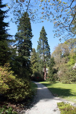 Bodnant Gardens