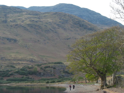 Creach Beinn from Loch Uisg