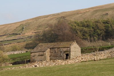 Wensleydale