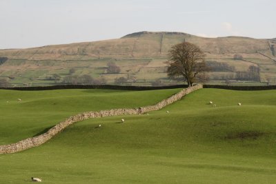 Wensleydale