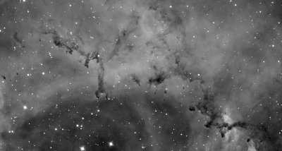 Rosette nebula, gros plan