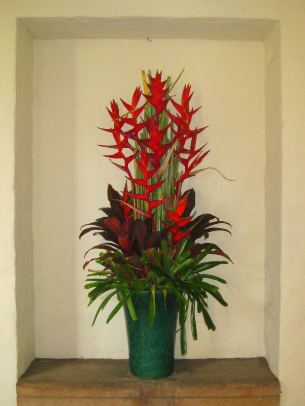 Helaconia Arrangement.jpg