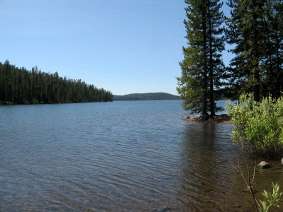 Secluded Grassy Lake.jpg