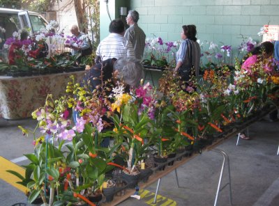 Farmers Market Orchid Booth.jpg